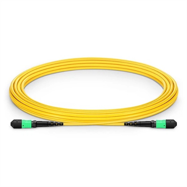 Single Mode MPO Patch Cord